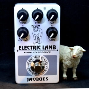 Electric Lamb